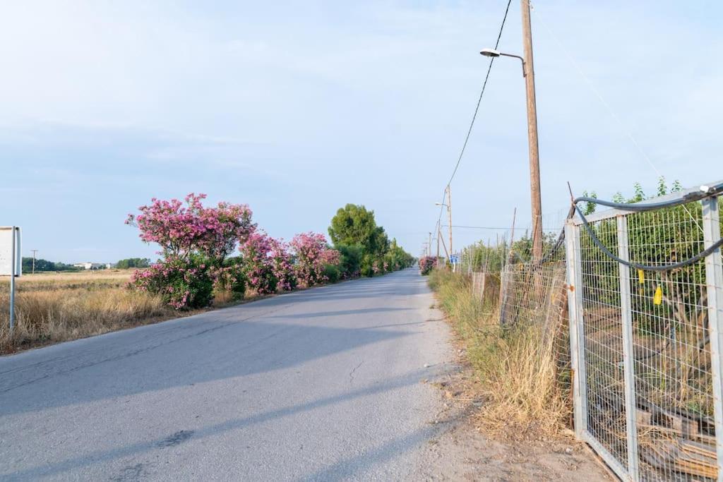 Zografia - Charming House Near The Coast Marmari (Kos) Exterior photo